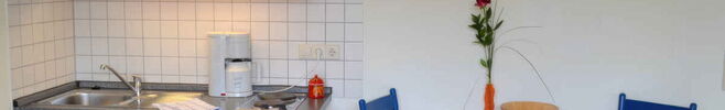 Ferienhaus Zum Mühlenkamp, App. 13